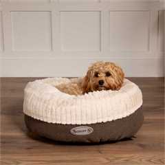 Scruffs Ellen Donut Bed - Grey